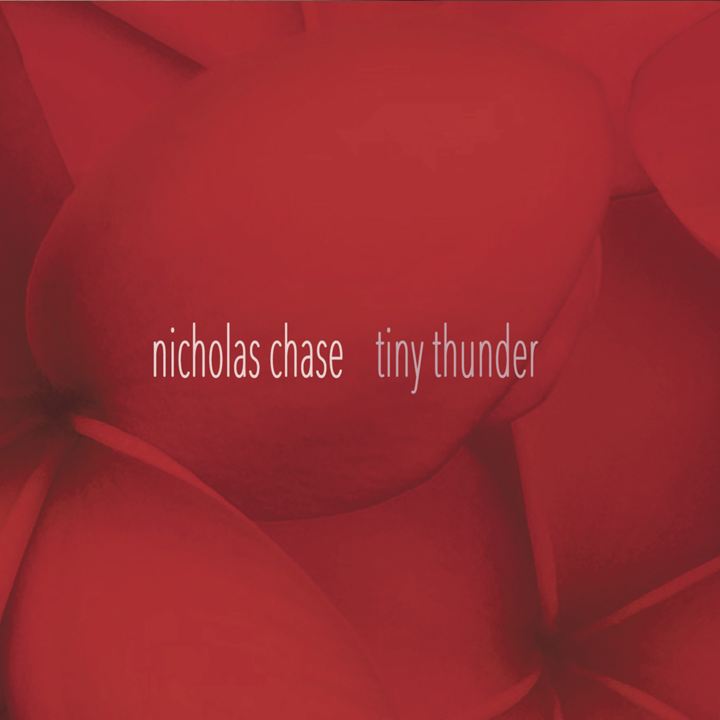 Tiny thunder CD Cover Art